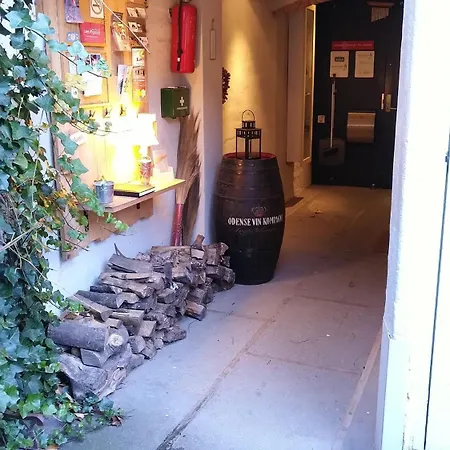 Room 1 Second Floor Campsite Odense